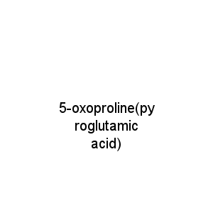 5-oxoproline(pyroglutamic acid)